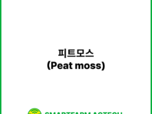피트모스(Peat moss) | 스마트팜피디아 (Smartfarm Pedia)