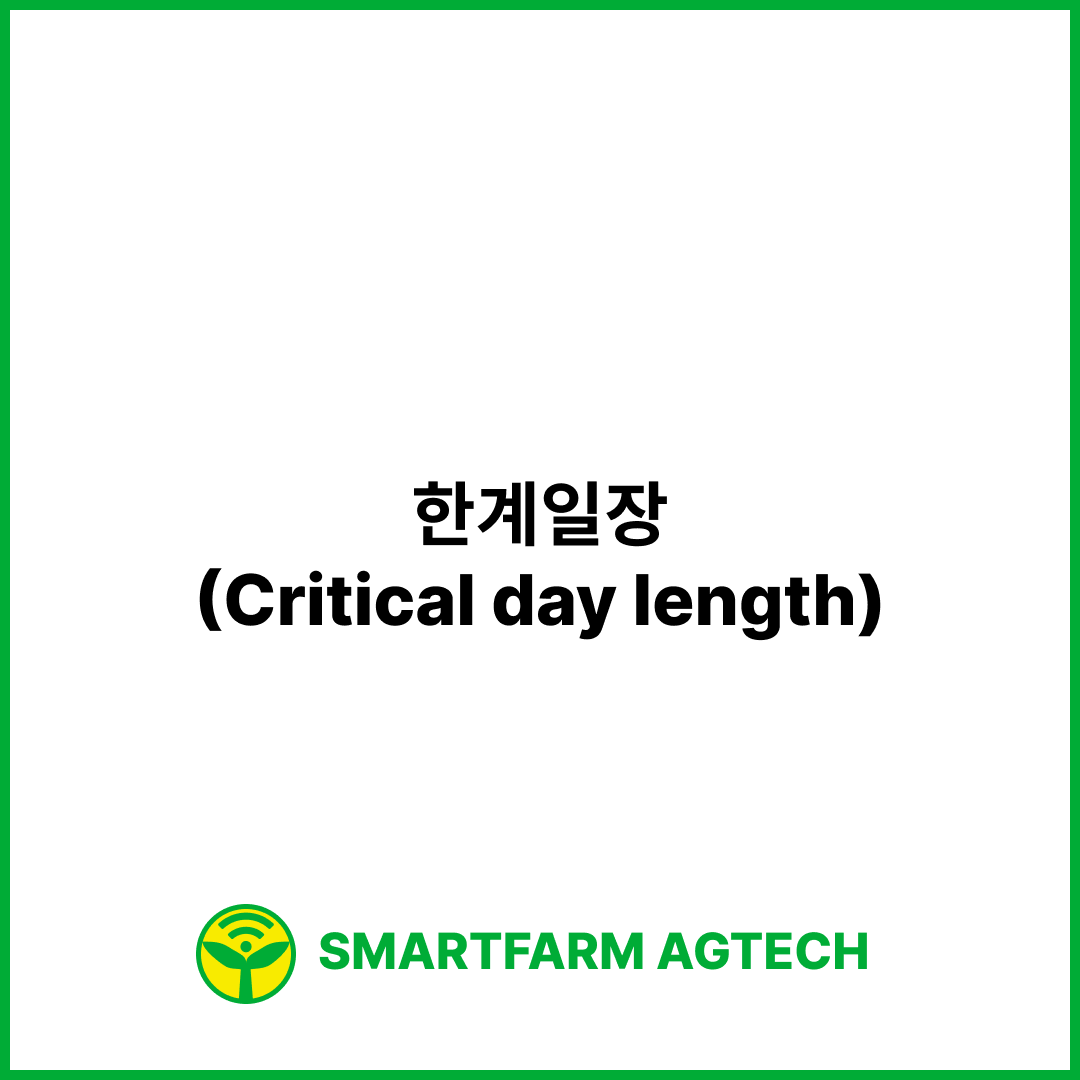 한계일장(Critical day length) | 스마트팜피디아 (Smartfarm Pedia)