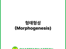 형태형성(Morphogenesis) | 스마트팜피디아 (Smartfarm Pedia)