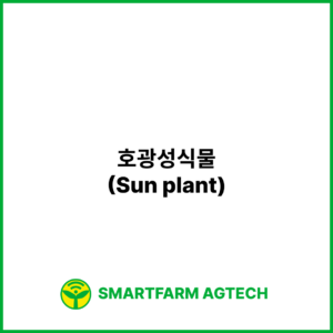 호광성식물(Sun plant) | 스마트팜피디아 (Smartfarm Pedia)