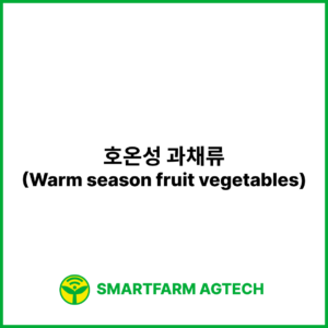 호온성 과채류(Warm season fruit vegetables) | 스마트팜피디아 (Smartfarm Pedia)