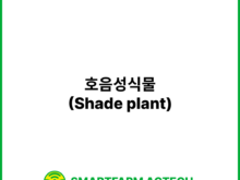 호음성식물(Shade plant) | 스마트팜피디아 (Smartfarm Pedia)