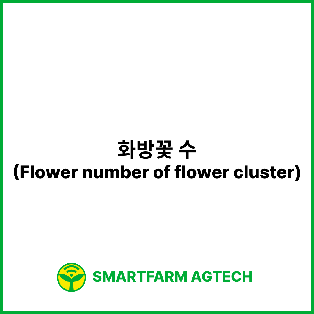 화방꽃 수(Flower number of flower cluster) | 스마트팜피디아 (Smartfarm Pedia)