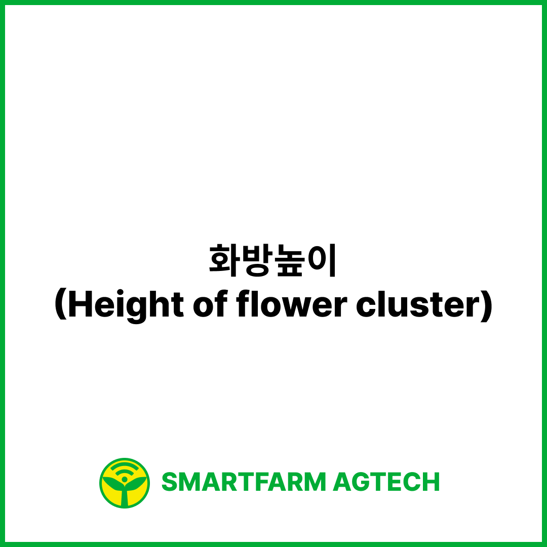 화방높이(Height of flower cluster) | 스마트팜피디아 (Smartfarm Pedia)
